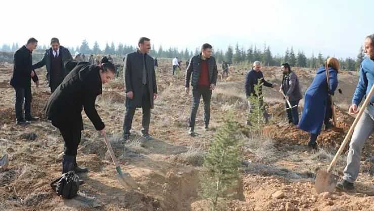 Betül Dürgen Hatıra Ormanı'na 250 fidan