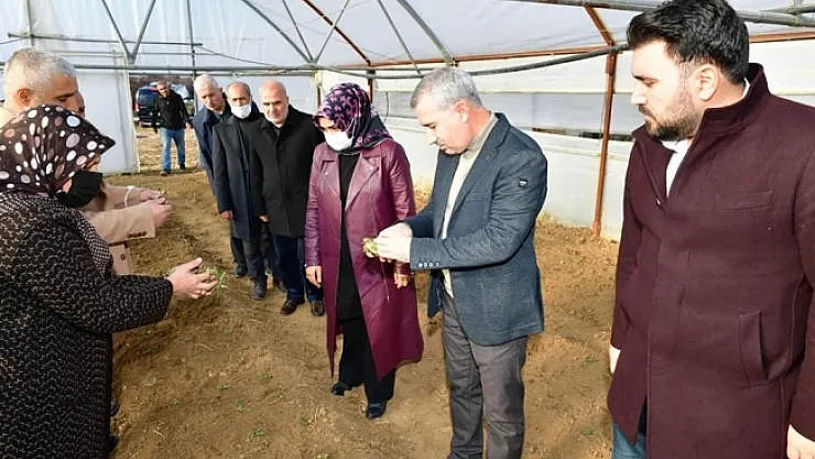 Çınar: Yeşilyurt, sahlep üretiminde de isminden söz ettirecek