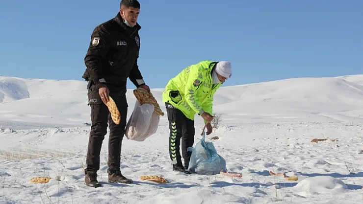 Darende'de yaban hayvanları unutulmadı