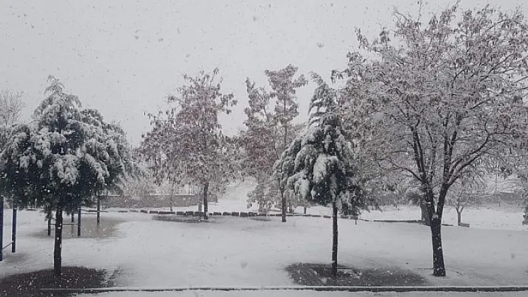 Doğanşehir'de kar yağışı başladı