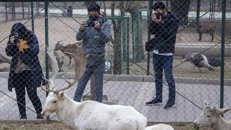 Kent Konseyinden Dijital Fotoğrafçılık Kursu