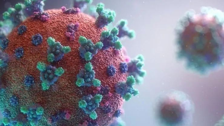 Korkutan açıklama! Omicron vakasına rastlandı