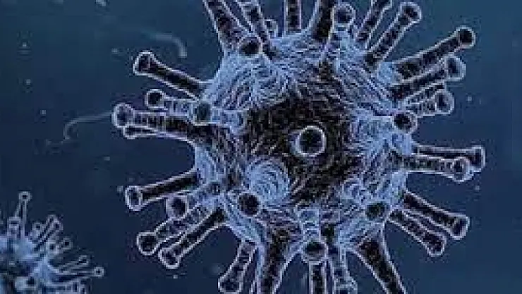 Omicron varyantıyla ilgili büyük endişe!