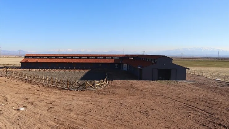 Yazıhan'da Atlı Cirit Sahası tamamlandı