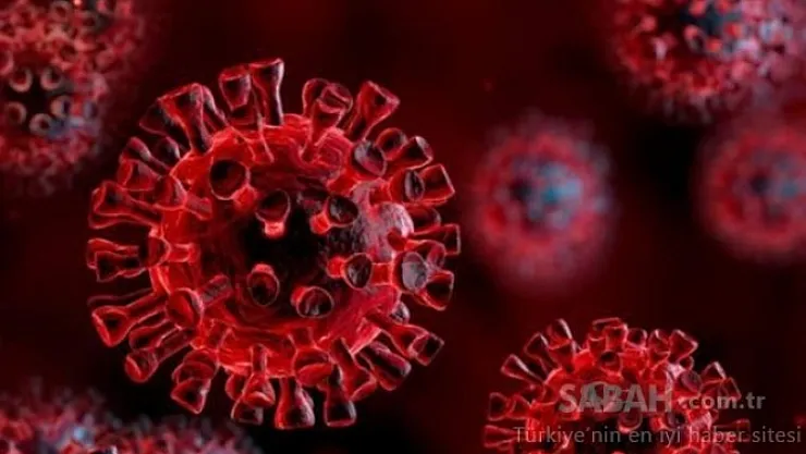 Adil Gevrek korona virüse yakalandı