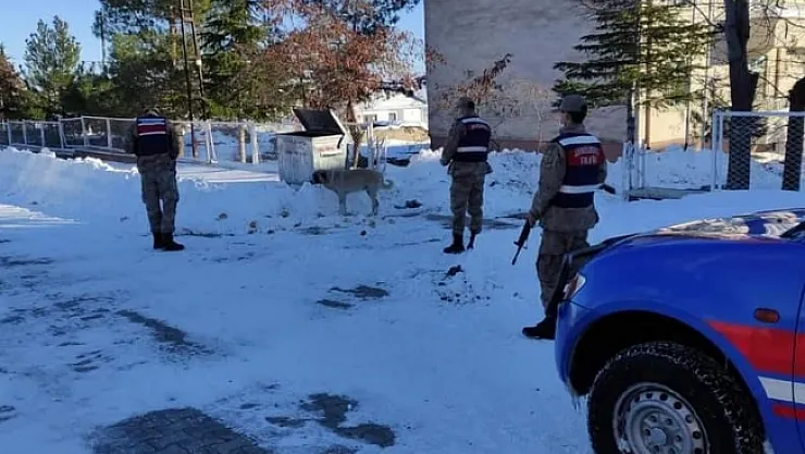 Arguvan'da jandarma sokak hayvanlarını unutmadı