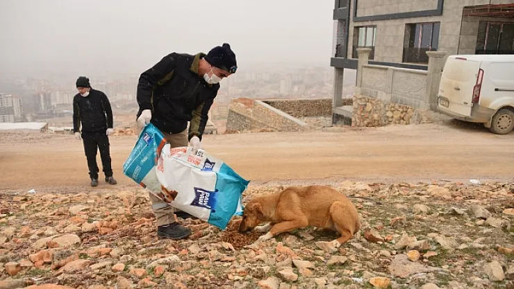 Çınar: Doğanın minik canlılarına hep birlikte sahip çıkmalıyız