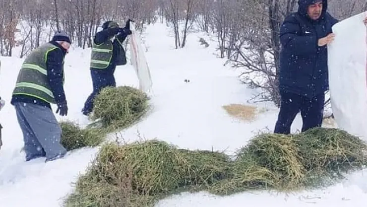 Doğanşehir'de doğada yaşayan hayvanlar unutulmadı