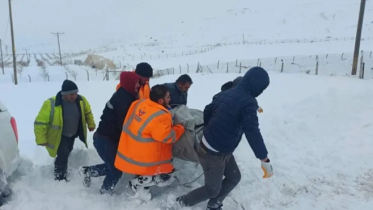 Kar nedeniyle çöken ahılda 20 küçükbaş hayvan telef oldu  