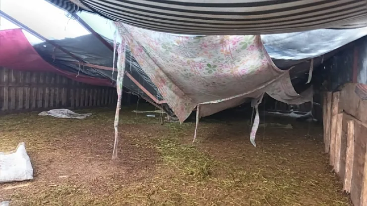 Kar nedeniyle çöken ağılda 28 küçükbaş hayvan telef oldu