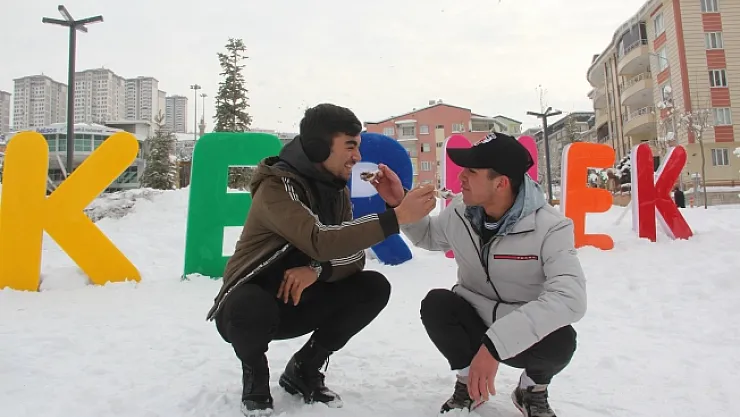 Malatya'da gençler karlı pekmezinin tadını çıkardı