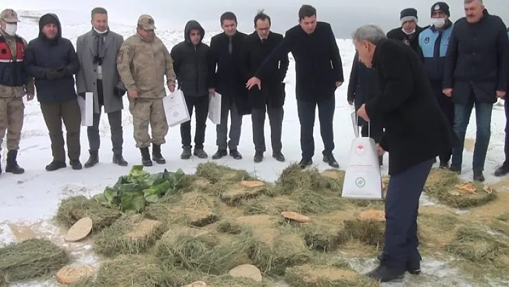 Pütürge'de yaban hayvanları unutulmadı