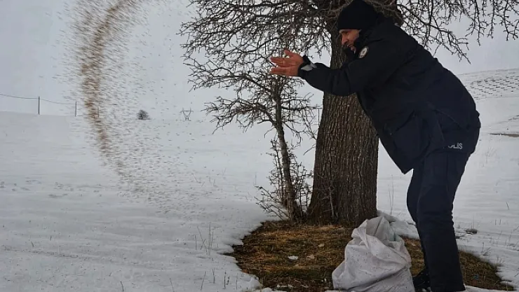 Emniyet personellerinden duyarlı hareket! Sokak hayvanlarını unutmadılar…