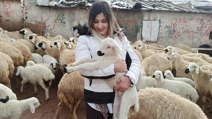 Kuzu doğumları başladı! Buluşma yürekleri ısıttı…