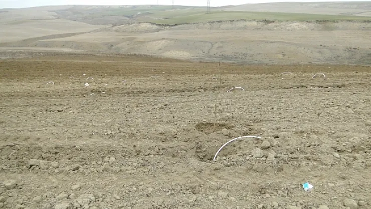 Borulu sulamalar artık sayaçlı olacak  