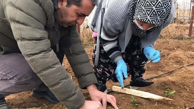 Çiftçilere mazot ve gübre desteği ödemeleri başladı