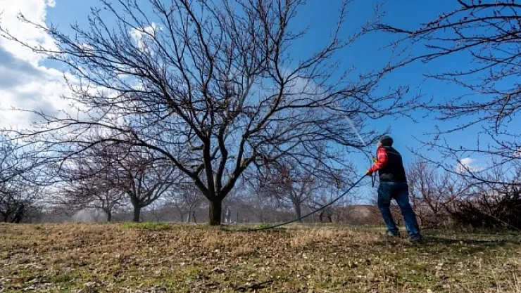 Kayısı üreticilerine don uyarısı  