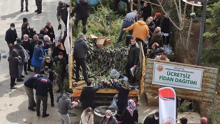 Malatya'da ücretsiz fidan dağıtımı
