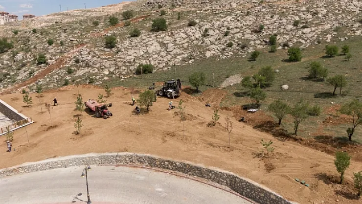 Beydağı Tabiat Parkında çalışmalar devam ediyor