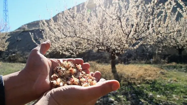 'Zirai Don' uyarısı!
