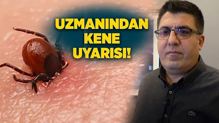 Prof. Dr. Özden: Kene görüldüğünde sağlık kurumlarına başvurulmalı