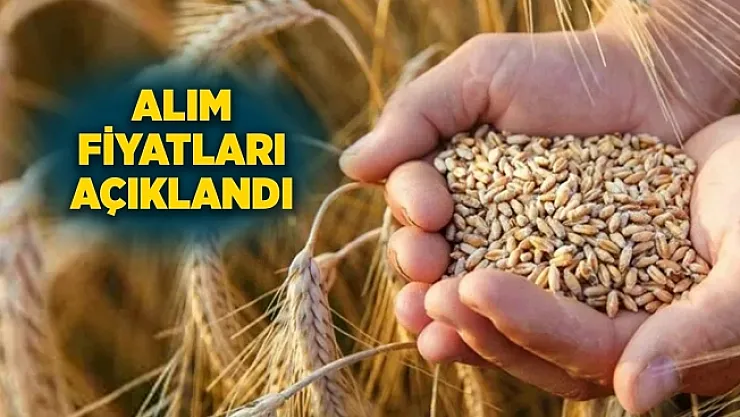 Çiftçi ve esnaf açıklanan buğday ve arpa fiyatından memnun mu?