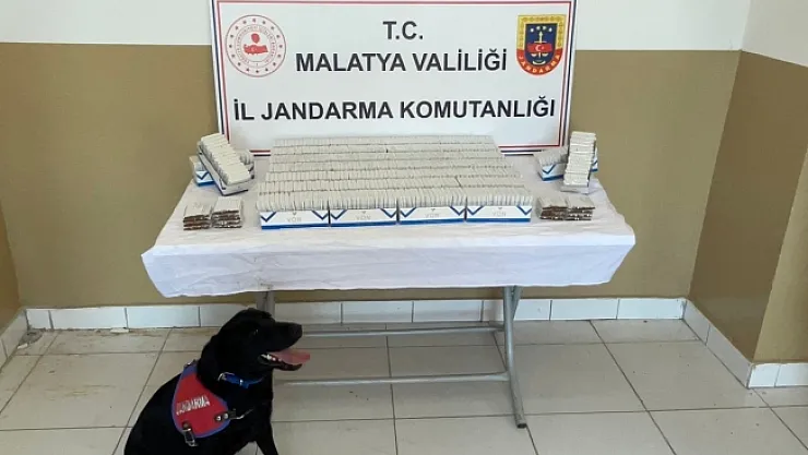 İnternet üzerinden kaçak sigara satışına gözaltı