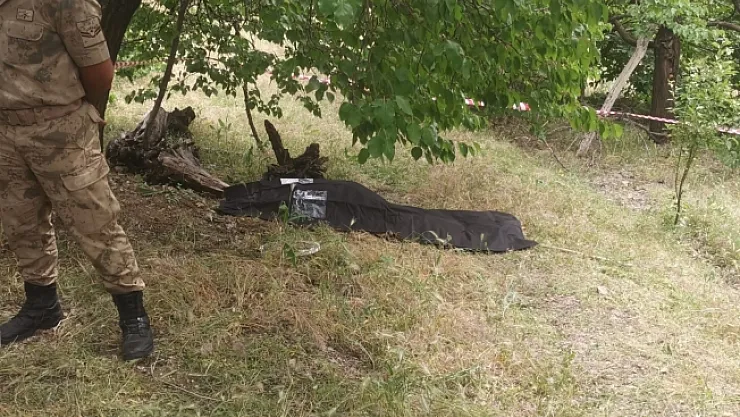 Kayısı bahçesinde ölü bulundu