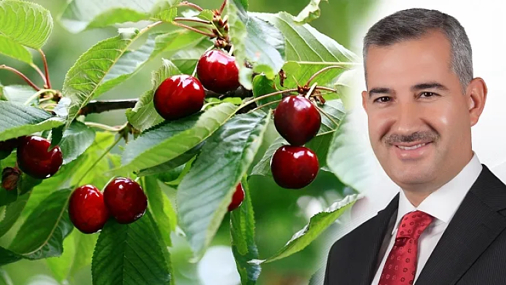 Kiraz Festivali'nin tarihi açıklandı