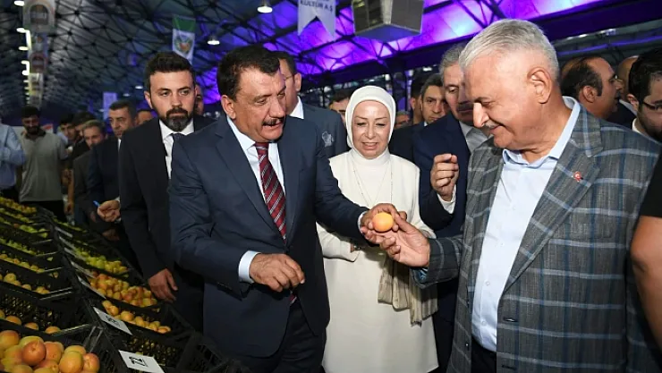 200 üreticinin katılımıyla yaş kayısı yarışması yapıldı