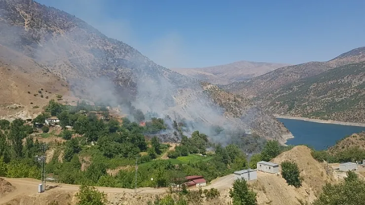 Aşırı sıcaklar yangına sebep oluyor