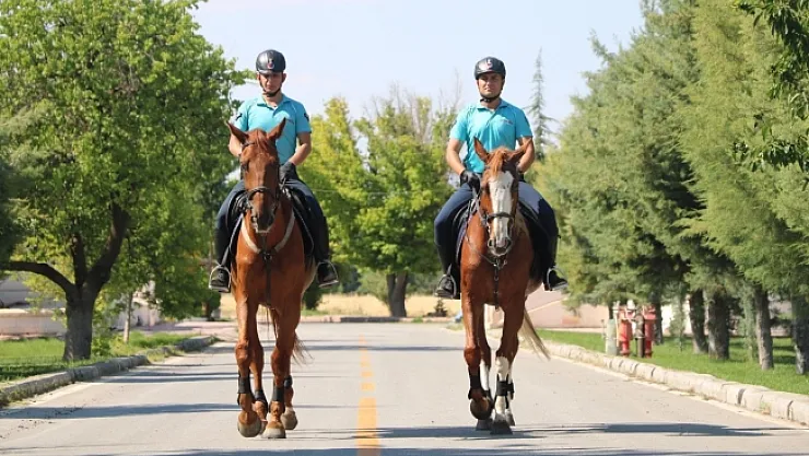 Atlı Jandarma Timi Malatya'da görevde!