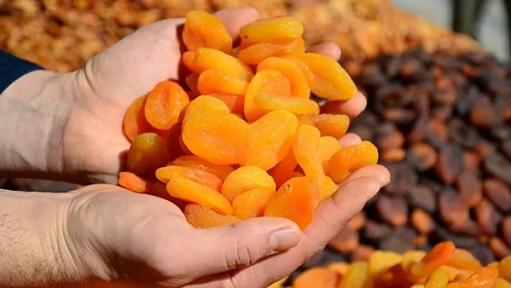 Kuru kayısıda 85 bin tonu aşkın üretim hedefleniyor