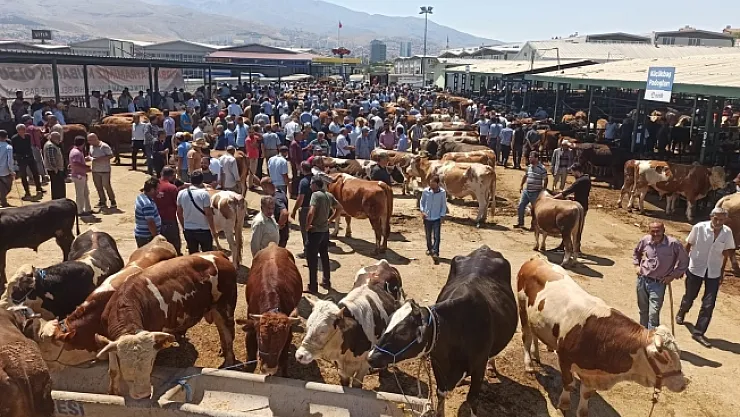 Malatya Kurban Pazarı'nda arife yoğunluğu