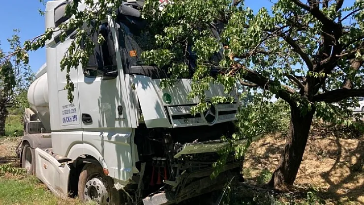 Yoldan çıkan tanker kayısı bahçesine girdi!