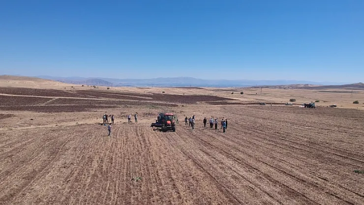 Arguvan'da nohut hasat tarla günü yapıldı