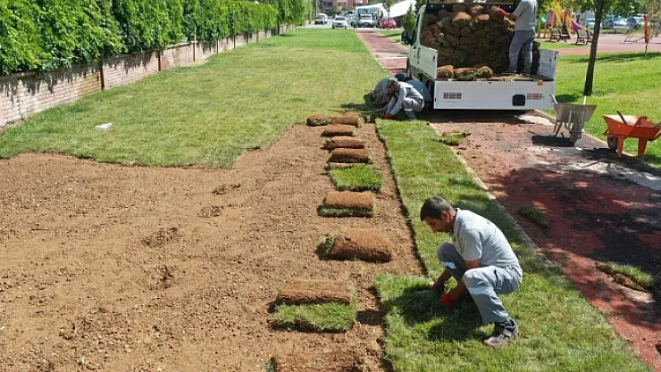 Yeşilyurt Belediyesi, rulo çim üretiminde hedefleri aştı