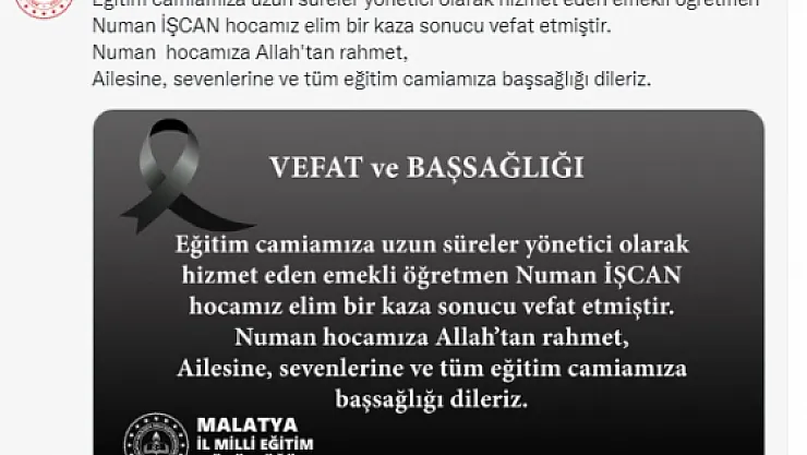 Ağaçtan düşen emekli müdür hayatını kaybetti