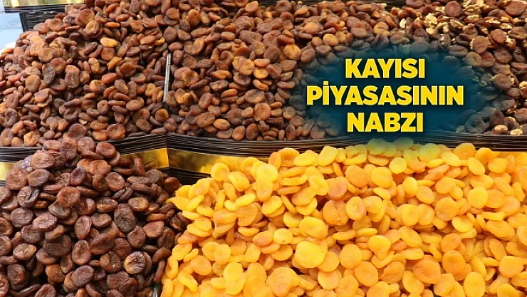 Kayısı piyasasında karmaşa! İhracatçı memnun, üretici dertli!