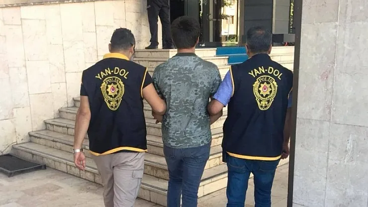 Çatı faresi 290 saatlik kamera görüntüleri sonrası yakalandı