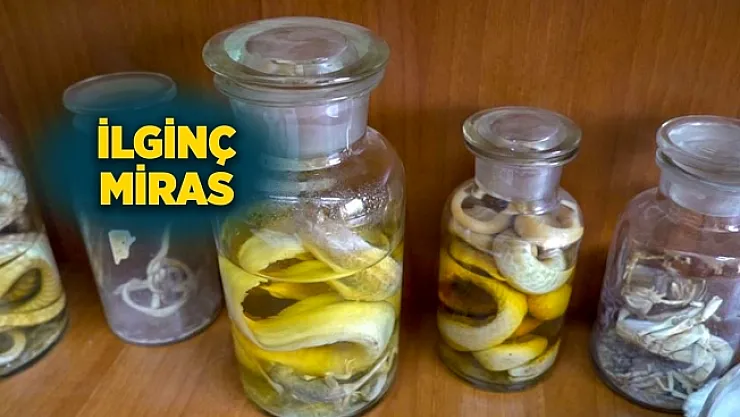 Köy Enstitüsü'nden miras... Görenleri şaşkına çeviriyor