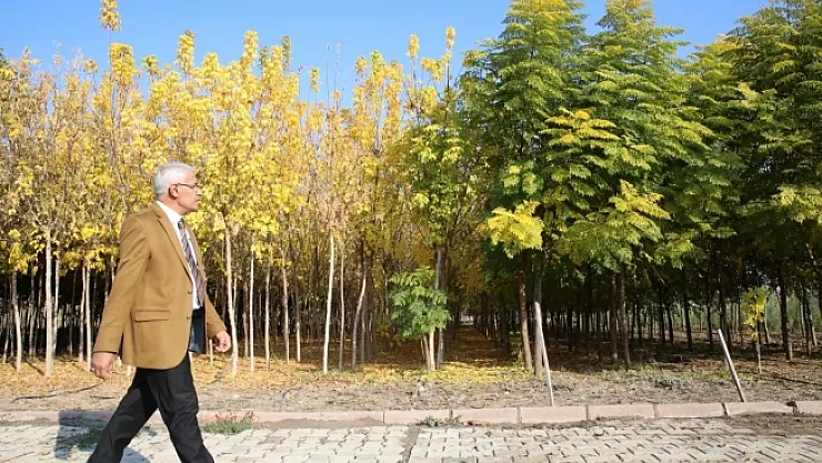 Güder: 500 binin üzerinde fidanı ilçemizle buluşturduk