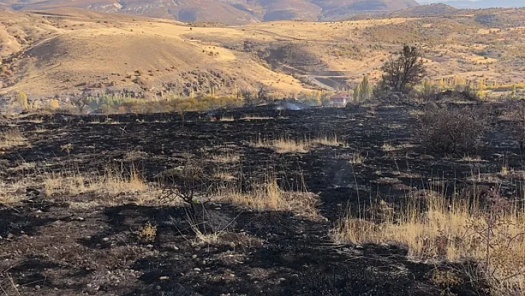 Hekimhan'da yangın!