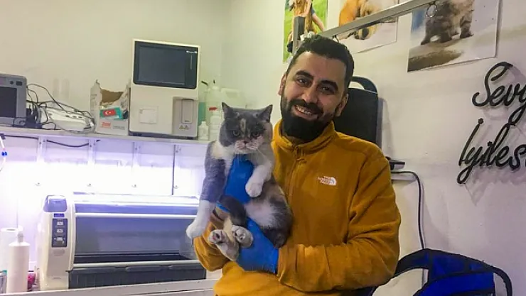 Evcil hayvan sahipleri dikkat! Mikroçip için son tarih 31 Aralık...