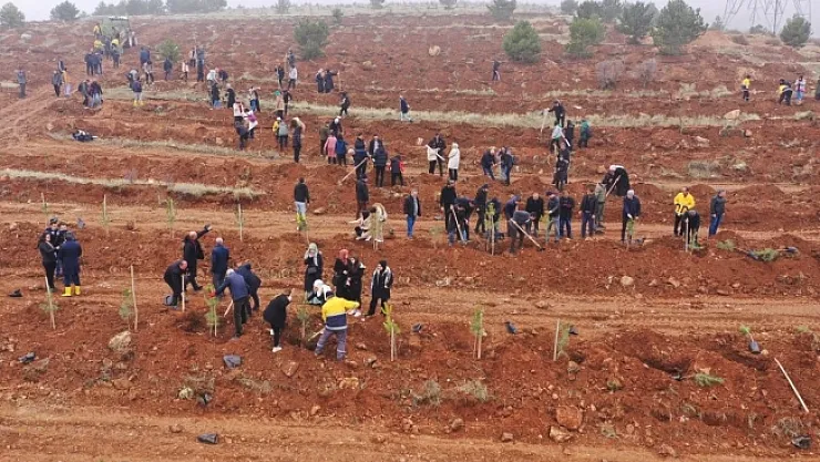 İnönü Üniversitesi'nde bin fidan toprakla buluşturuldu