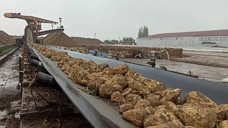 Malatya Şeker Fabrikası 43 bin ton şeker üretti