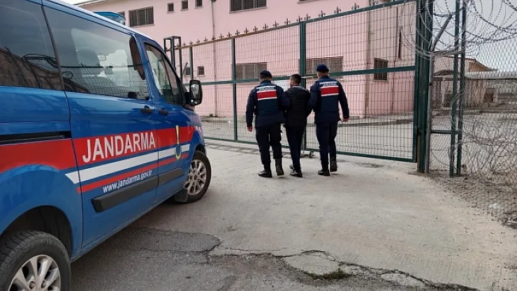 Malatya'da 13 yıl cezası bulunan hırsız jandarma operasyonu ile yakalandı