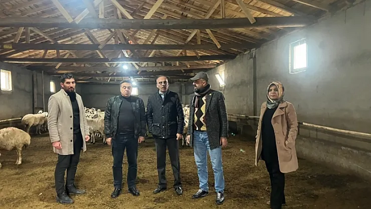 Malatya'da Akkaraman ırkı koyun yetiştiriciliği yaygınlaştırılıyor