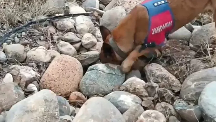 Malatya'da Jandarmadan dron destekli uyuşturucu operasyonu