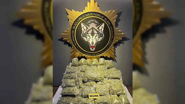 Malatya'da 40 kilo skunk ele geçirildi  